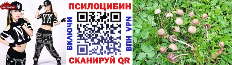 купить наркотик  Гороховец  Галлюциногенные грибы MAGIC MUSHROOMS 